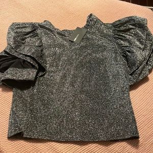Silver glittery top